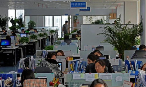 經(jīng)開區(qū)重點(diǎn)服務(wù)業(yè)增速持續(xù)加快 以信息技術(shù)咨詢服務(wù)為引擎